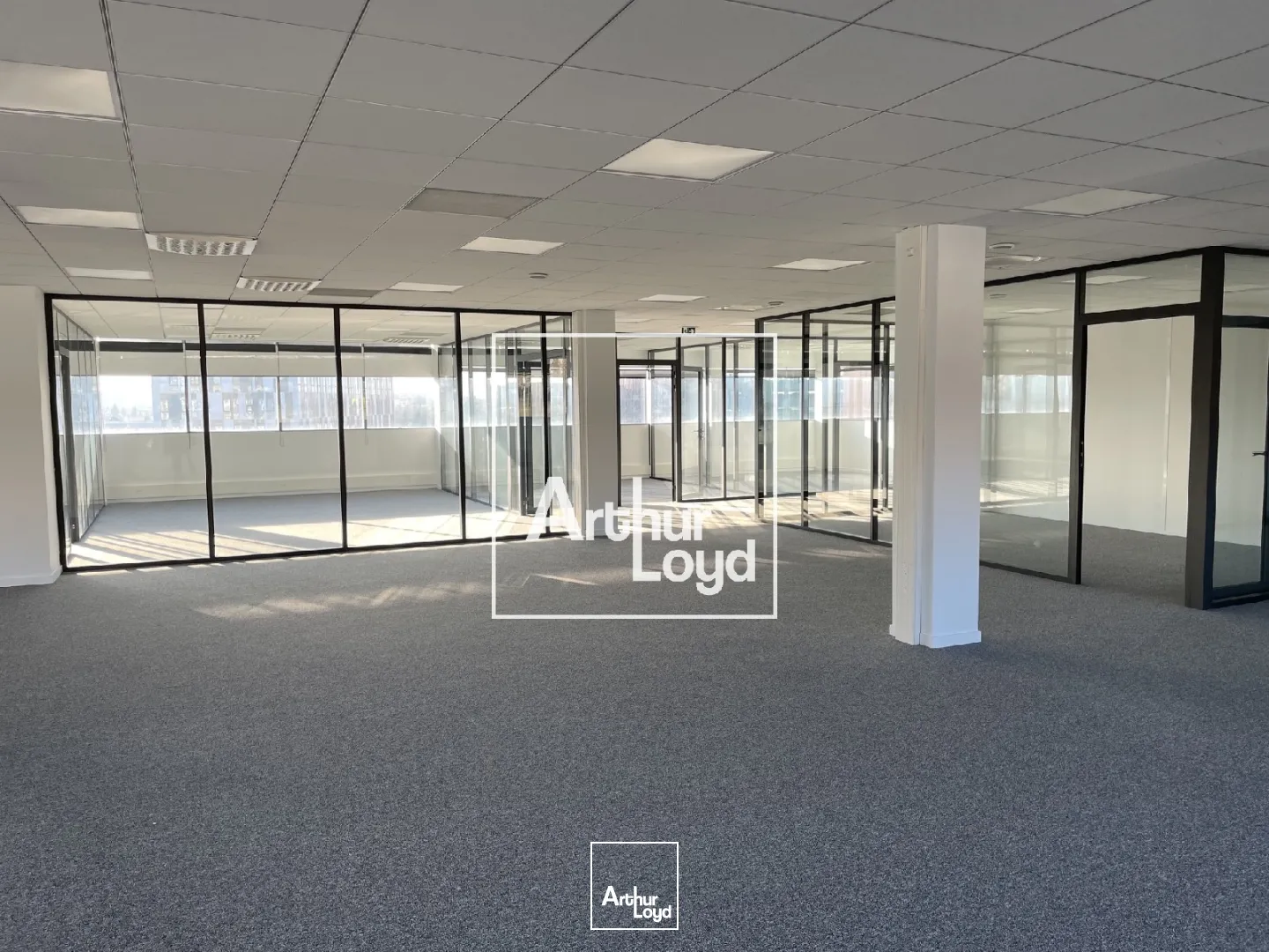 BUREAUX A LOUER A PARTIR DE 196 m² - BALMA 