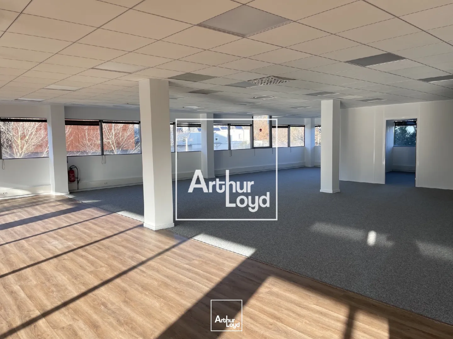 BUREAUX A LOUER A PARTIR DE 196 m² - BALMA 