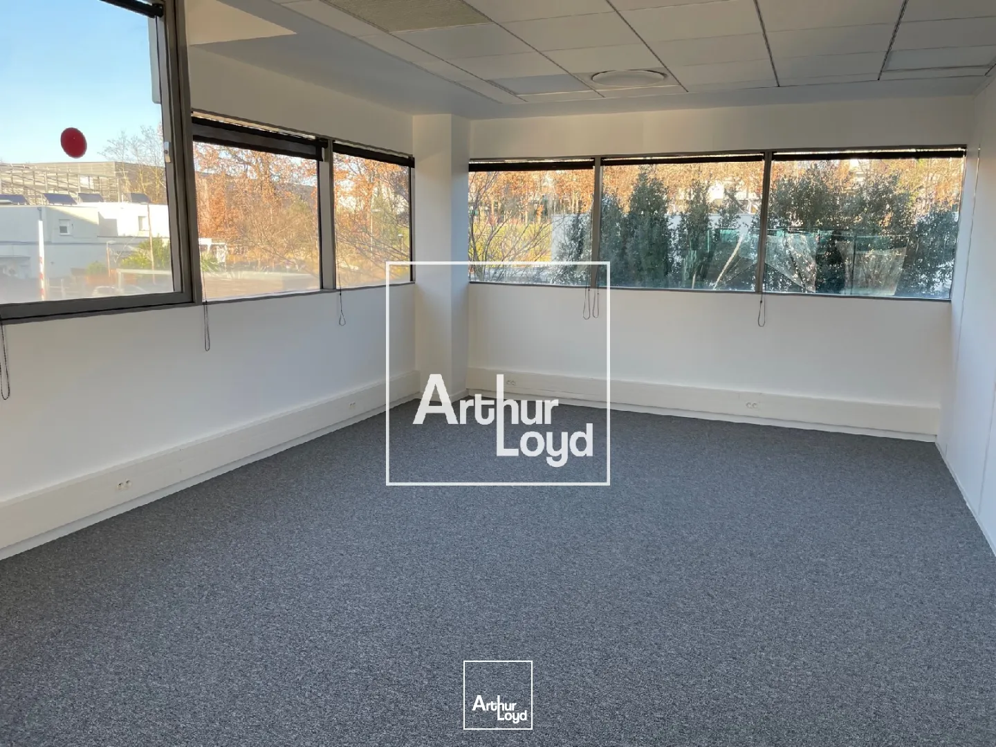 BUREAUX A LOUER A PARTIR DE 196 m² - BALMA 