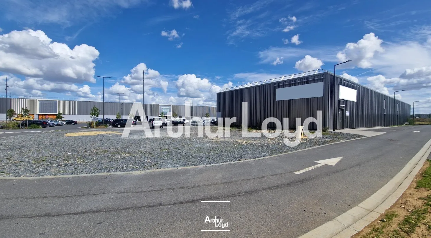 Local commercial à louer - Ifs - 708 m²