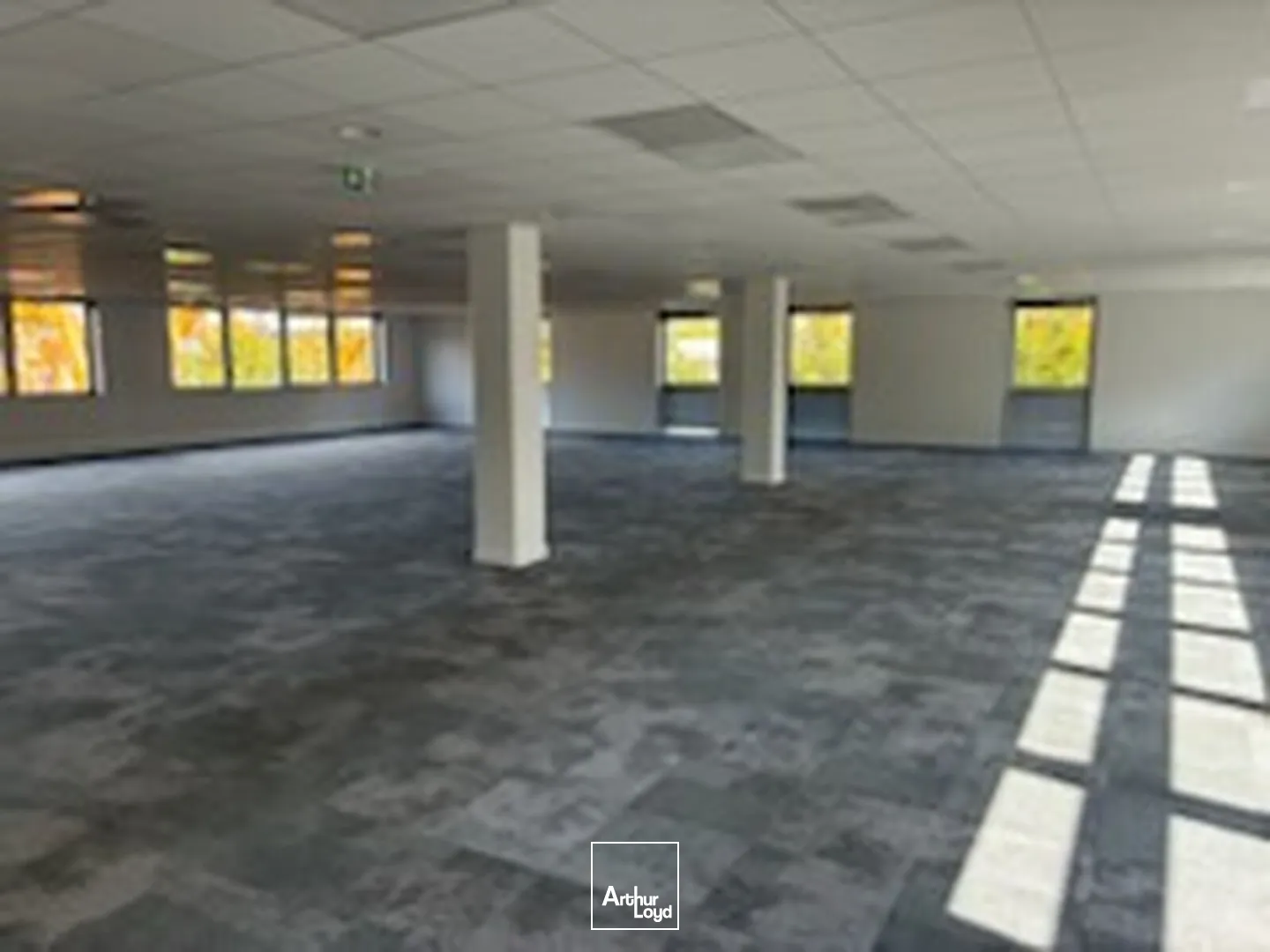 Zone de la Pilaterie - HUB DE MARCQ - Bureaux à Louer - Avec Parkings