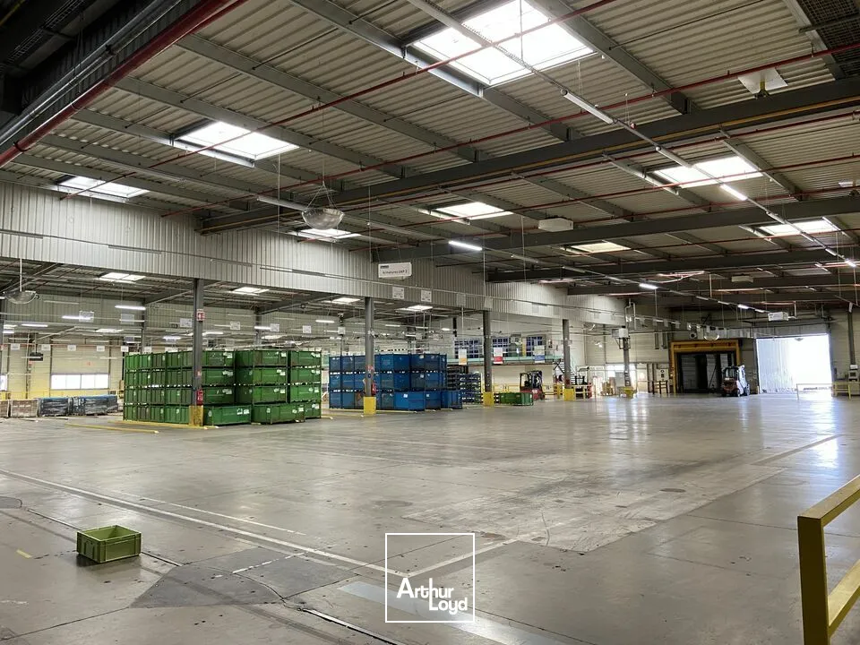 LOCAL D'ACTIVITE - ENTREPOT à LOUER de 10100 m²
