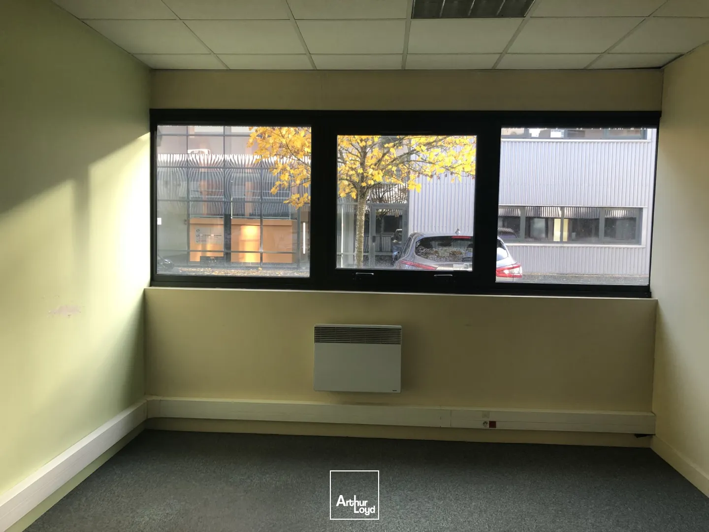 Cellule d'activités à louer - 287 m2 - Est Métropole