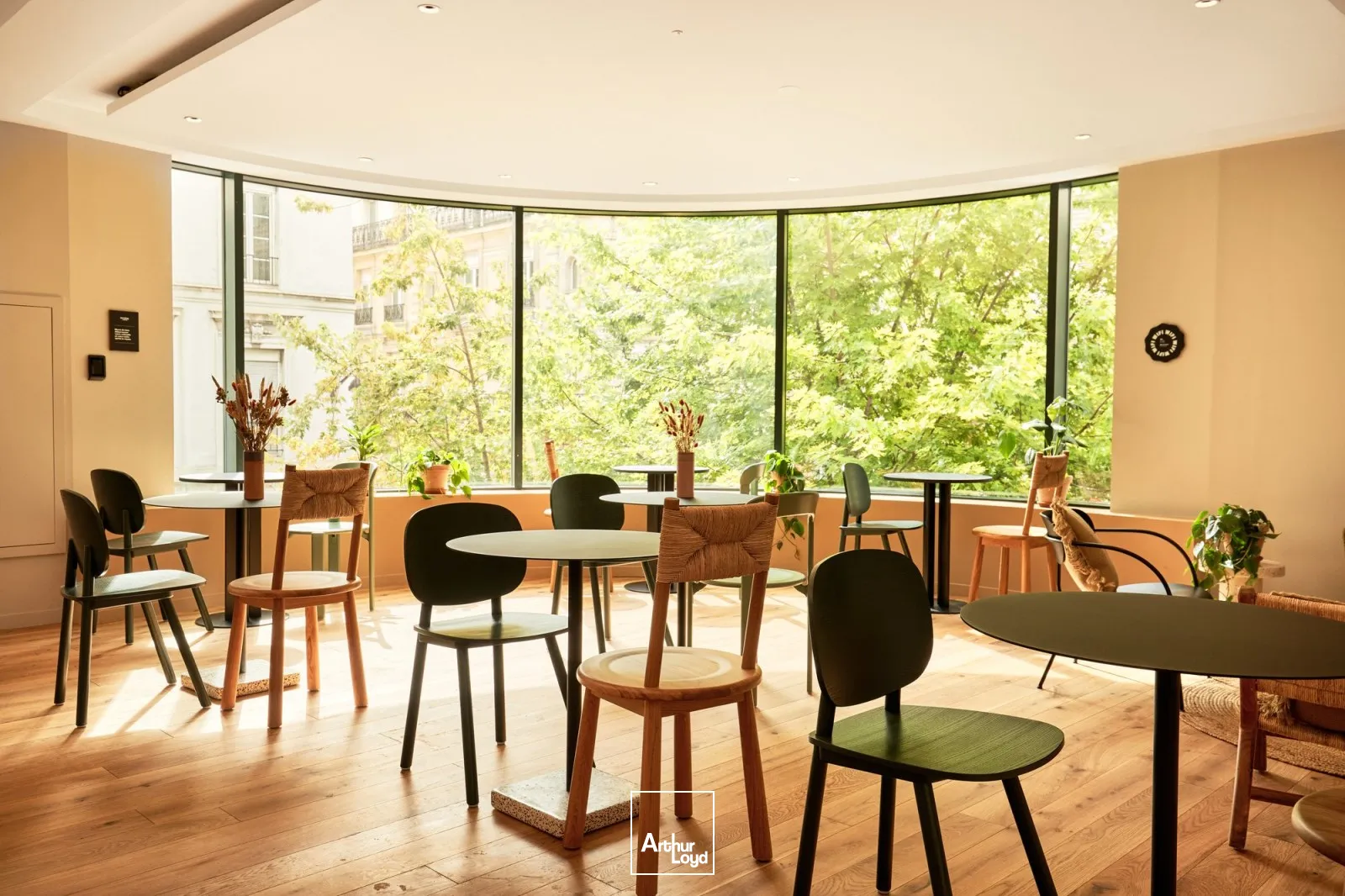 Bureaux A Louer - Morning Laffitte