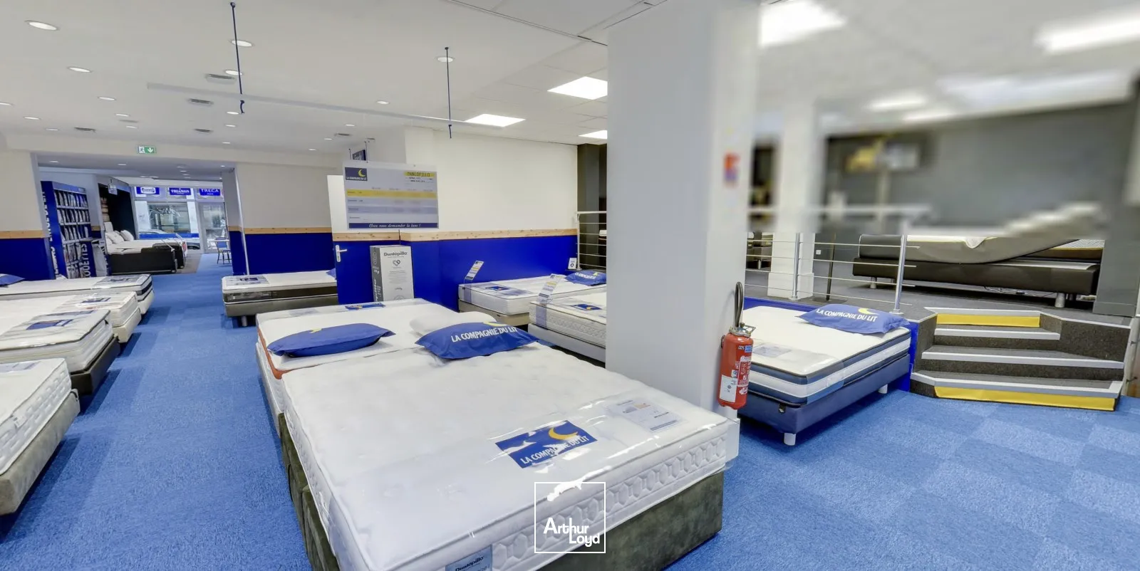 Local commercial à louer à Lille - Showroom lumineux avec vitrines en emplacement Premium