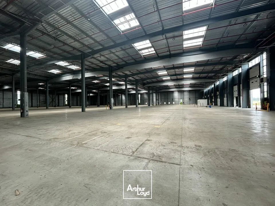 A LOUER plateforme logistique 12 000 m²