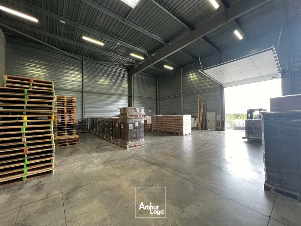 Local d'activité Gensac La Pallue 1300 m2