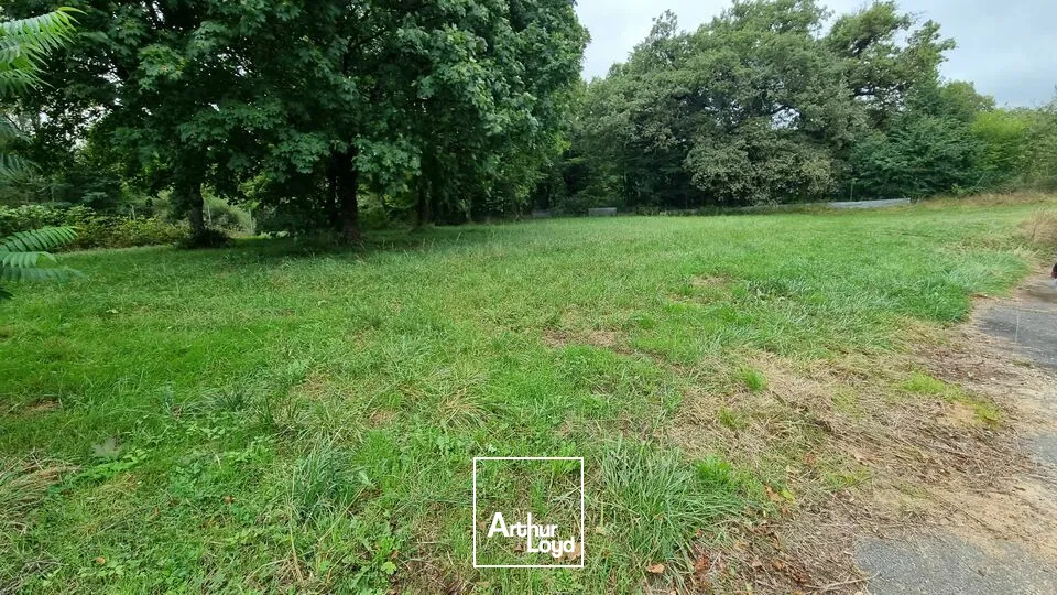 A VENDRE SECTEUR POITIERS-SUD LOCAL D'ACTIVITE DE 250M² SUR TERRAIN CONSTRUCTIBLE DE 8500M² 