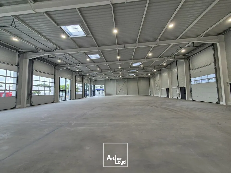 LOCAL COMMERCIAL à LOUER de 391 m²