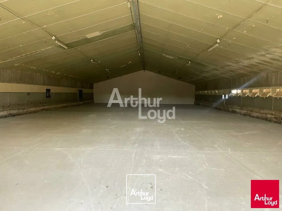 FOSSÉ - VENTE LOCAUX D'ACTIVITÉ 4 x 500 M² - IDÉAL STOCKAGE