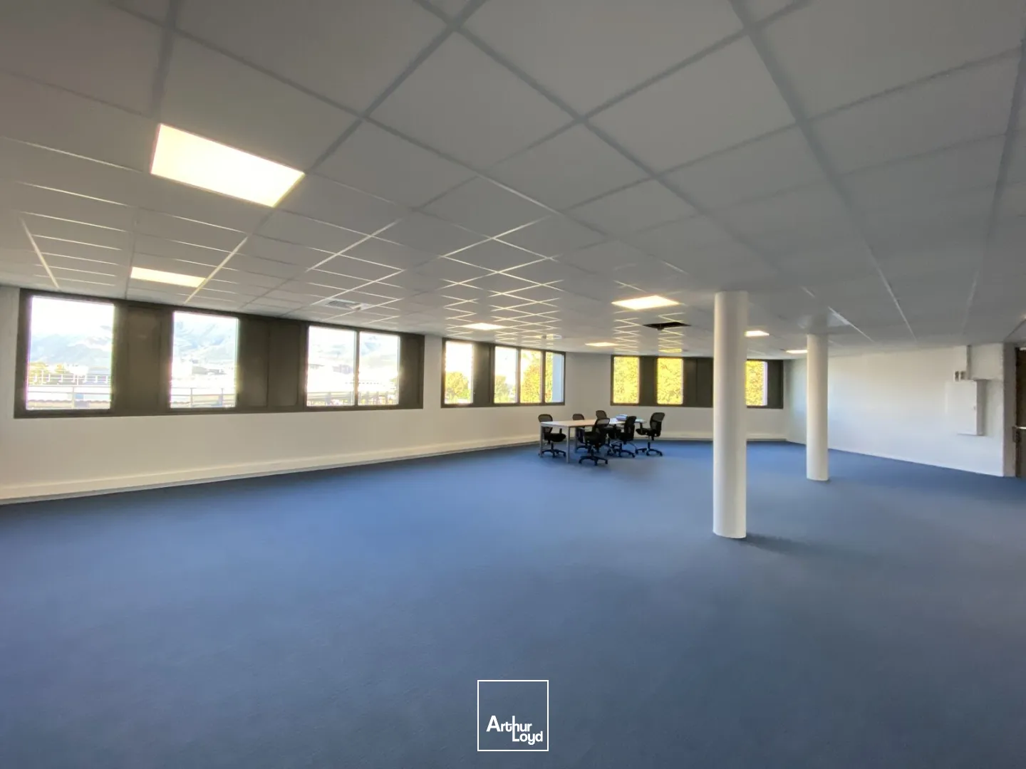 PLATEAU DE BUREAU A LOUER - 512 M² A GRENOBLE 