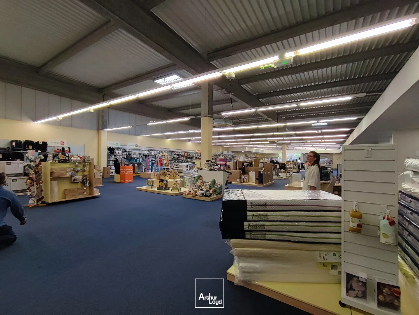 Cellule commerciale d'environ 1 000 m² Limoges - LE VIGEN