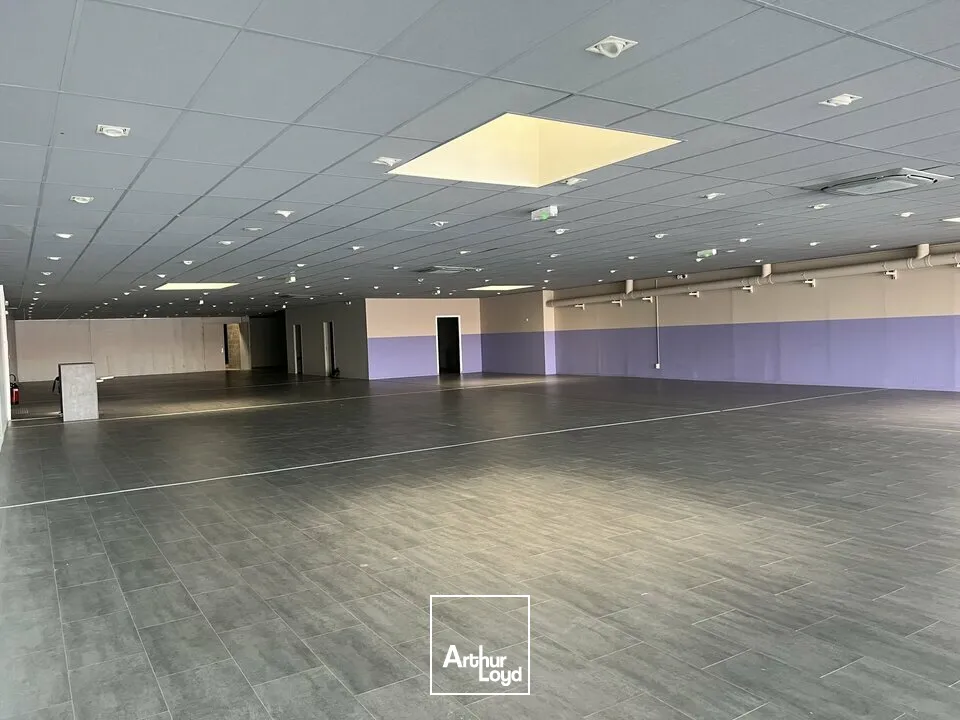 CHAMBRAY-LES-TOURS LA VRILLONNERIE LOCAL COMMERCIAL A LOUER 1000 M² - AV. DU GRAND SUD