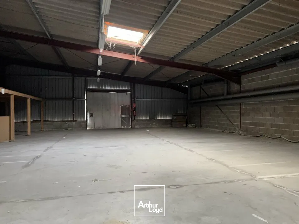 CHAMBRAY-LES-TOURS LA VRILLONNERIE LOCAL COMMERCIAL A LOUER 1000 M² - AV. DU GRAND SUD