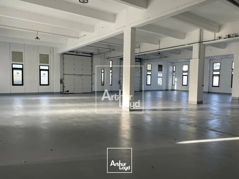 EVRY COURCOURONNES ENTREPOT A LOUER