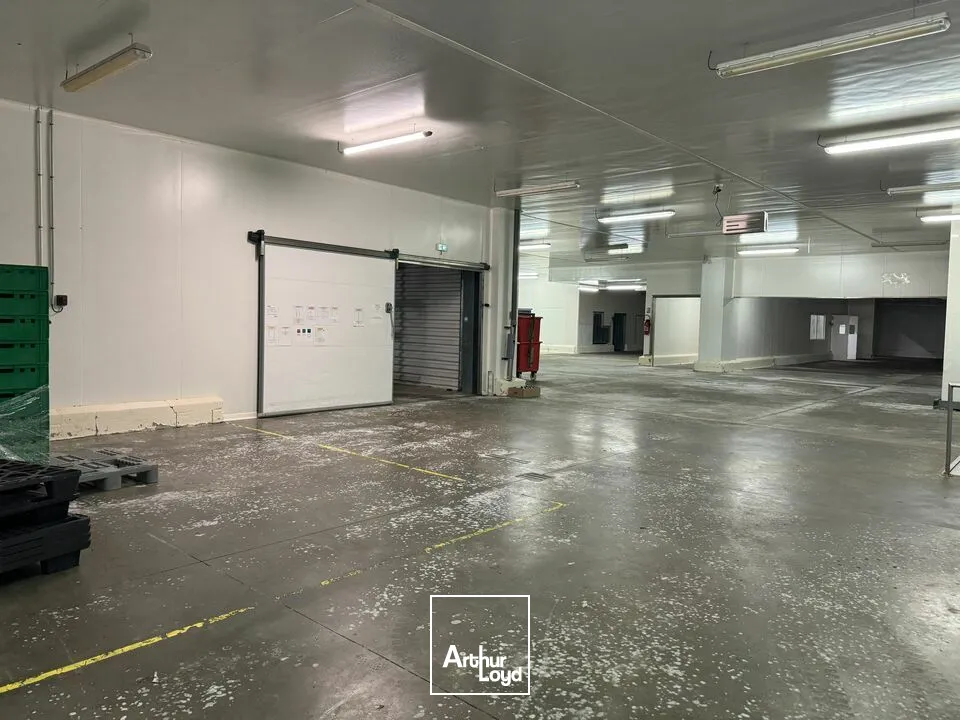 TOURS SUD GRANGE BARBIER - BÂTIMENT FROID POSITIF NEGATIF 4407 M² - TERRAIN 15591 M²