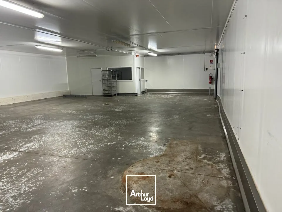 TOURS SUD GRANGE BARBIER - BÂTIMENT FROID POSITIF NEGATIF 4407 M² - TERRAIN 15591 M²