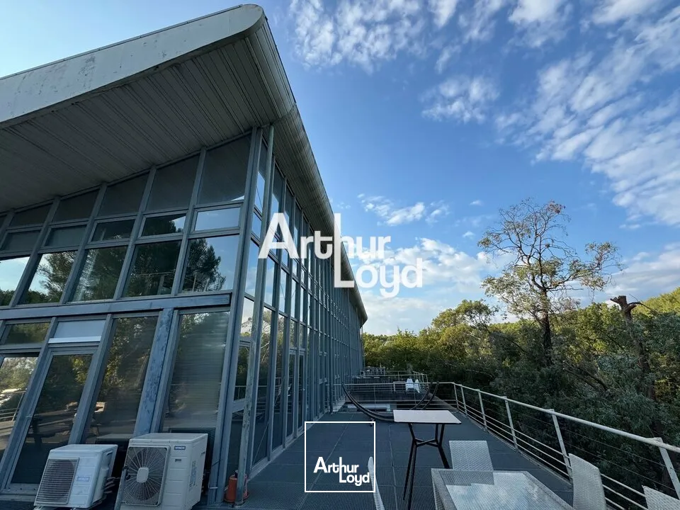 Location de bureaux 160 m² avec terrasse - Sophia Antipolis