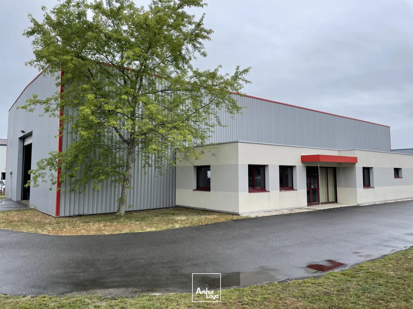 LOCATION - LOCAL - ACTIVITE - ENTREPOT - STOCKAGE - THOUARE