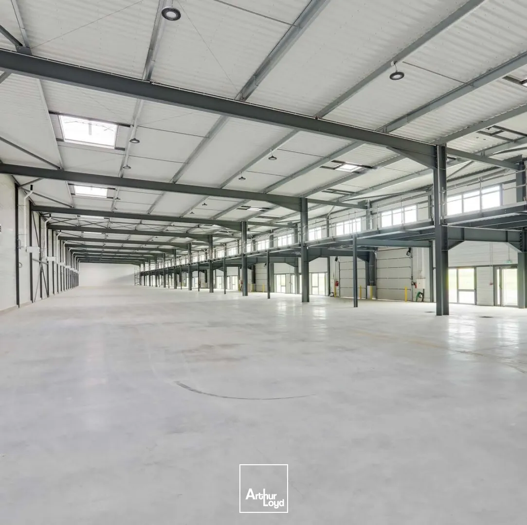 À louer - Locaux d'activité neufs modulables au Thillay, 3700 m² divisibles dès 370 m², accès direct Roissy CDG et axes routiers