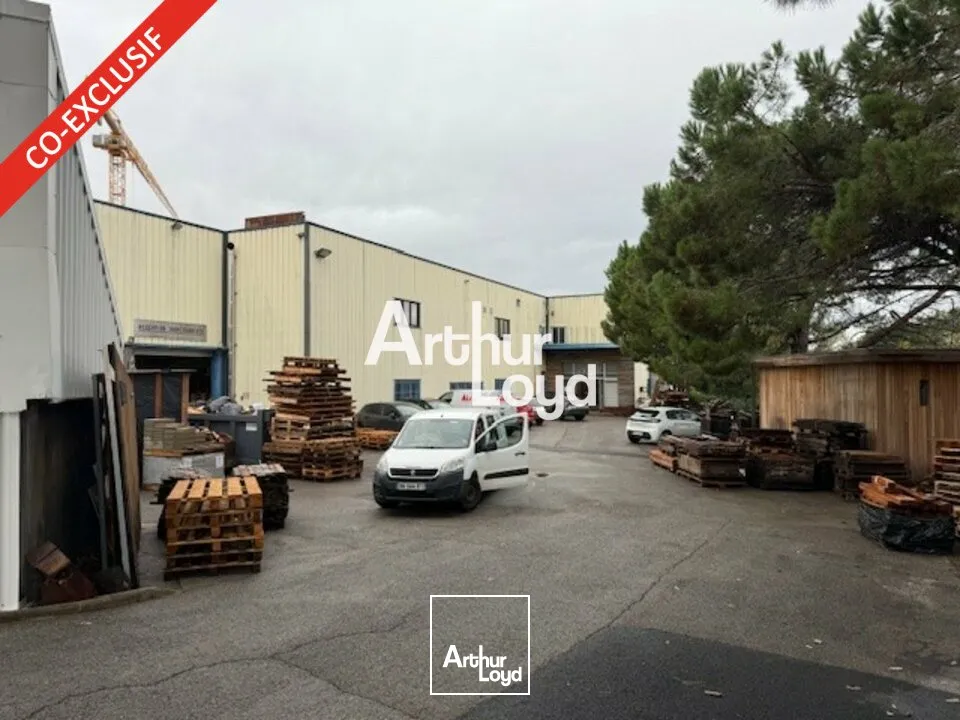 Locaux d'activité à vendre 1648 m² - Zone de l'Argile - Mouans Sartoux