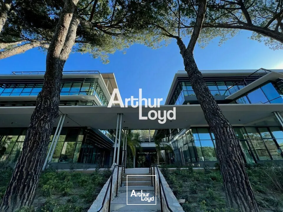 Location bureaux neufs 494 m² R+2 Centrium - Sophia Antipolis