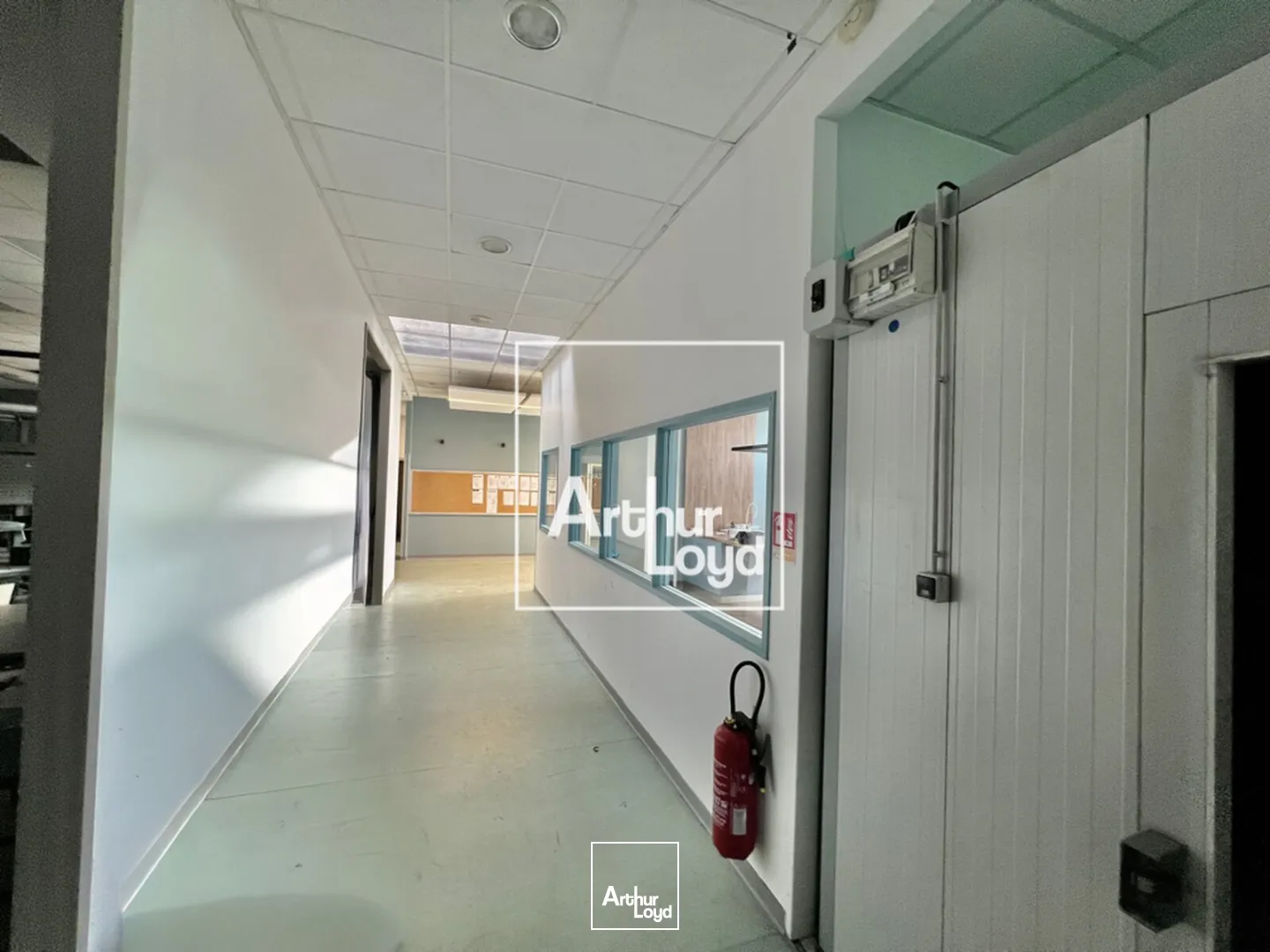 Locaux d'activité à louer à Montpellier - Bâtiment fonctionnel de 637 m² climatisé avec bureaux et zone de stockage