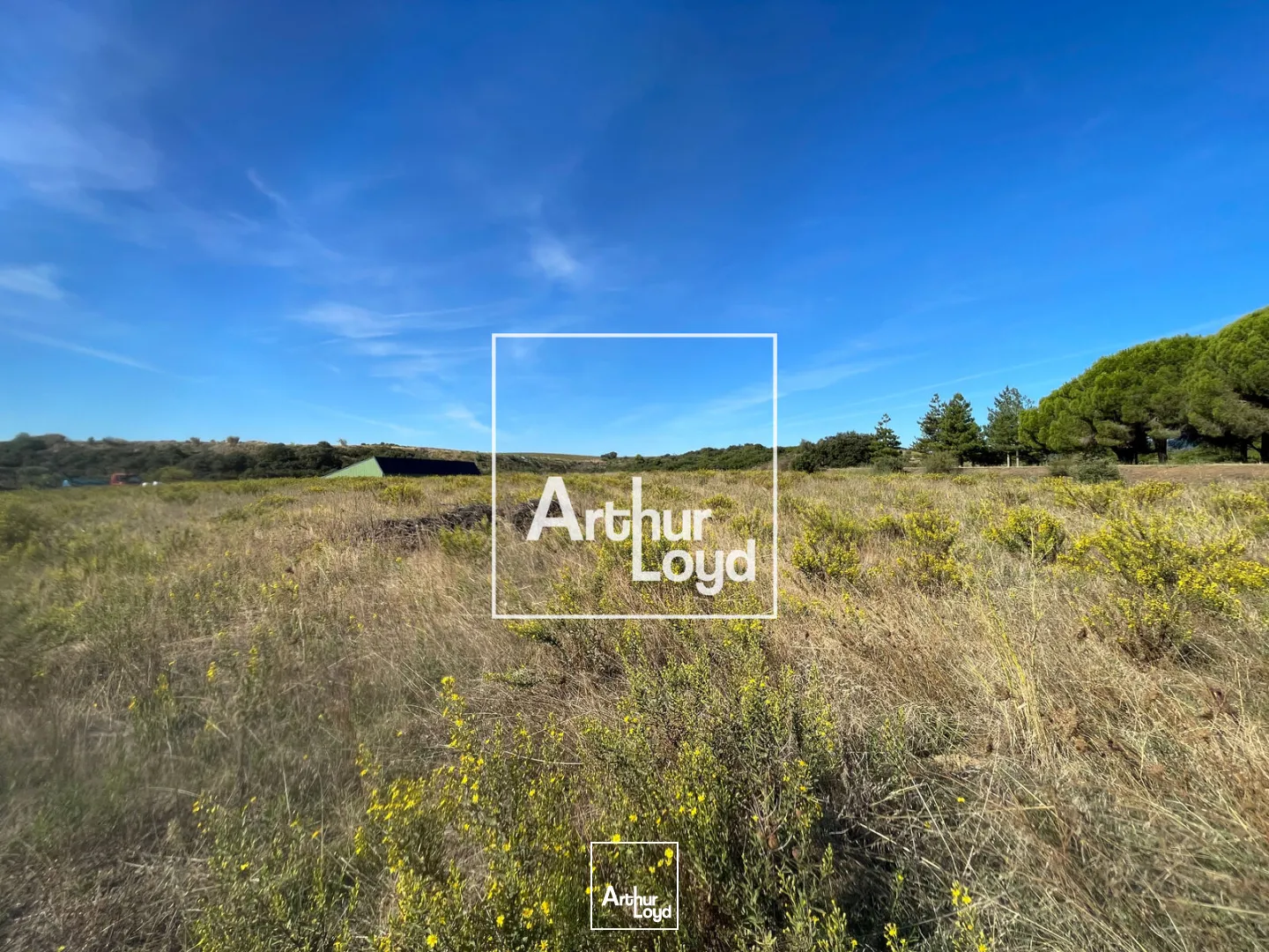 À vendre - Terrain constructible 6 392 m² avec belle visibilité le long de l'axe Béziers-Bédarieux