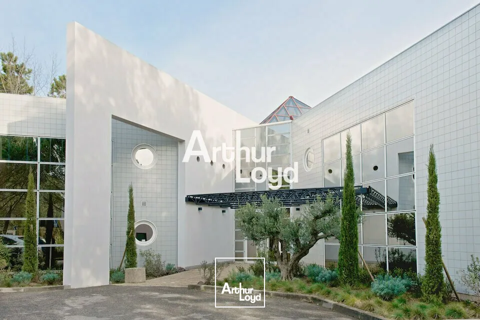 Bureaux à louer 166 m² divisibles dès 81 m² - Sophia Antipolis