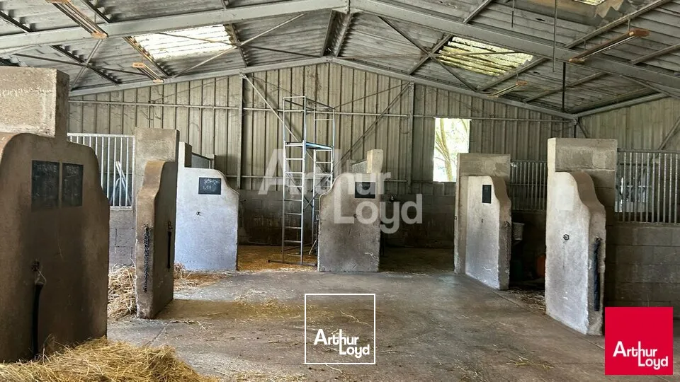 BLOIS - VENTE LOCAL D'ACTIVITÉ DE 700 M² - QUARTIER VIENNE