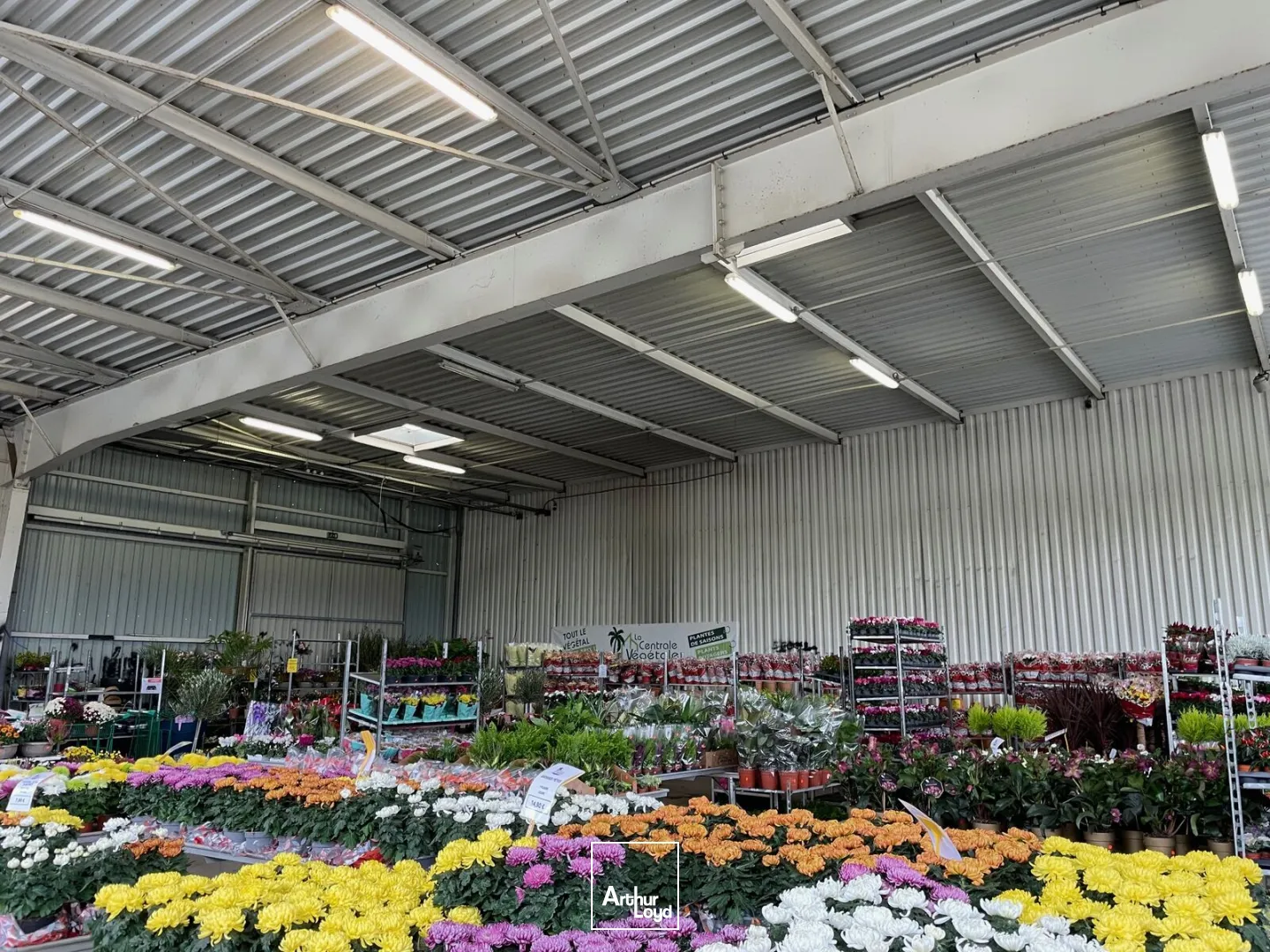 Local commercial d'une surface de 1200 m2 avec un bâti sous auvent de 550 m2, situé à proximité de grandes enseignes nationales en zone commerciale à Soissons. Possibilité d'une seul...