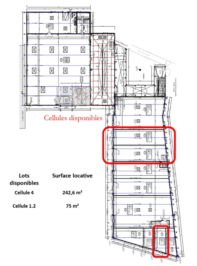 Locaux commerciaux à louer Cucq - Cellules de 75 m² et 242 m² en zone commerciale avec belle vitrine