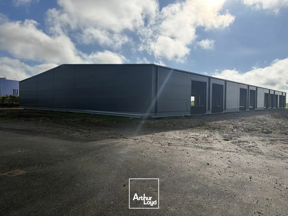 À LOUER  Bâtiment d'activité neuf  1 828 m² divisibles  Zone Mendès France, Niort
