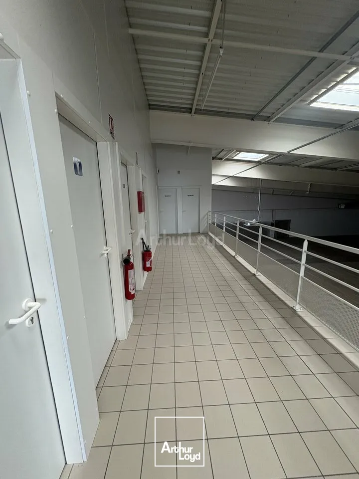 LOCAL COMMERCIAL à LOUER de 1113 m²