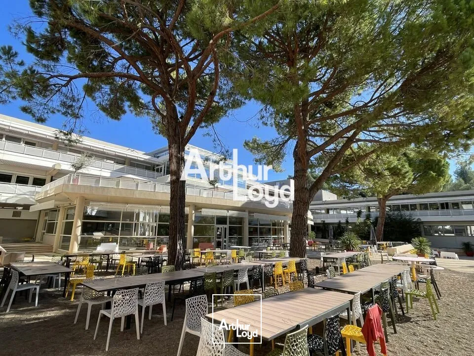 Bureaux à louer divisibles dès 72 m² - Quartier des Templiers - Sophia Antipolis 