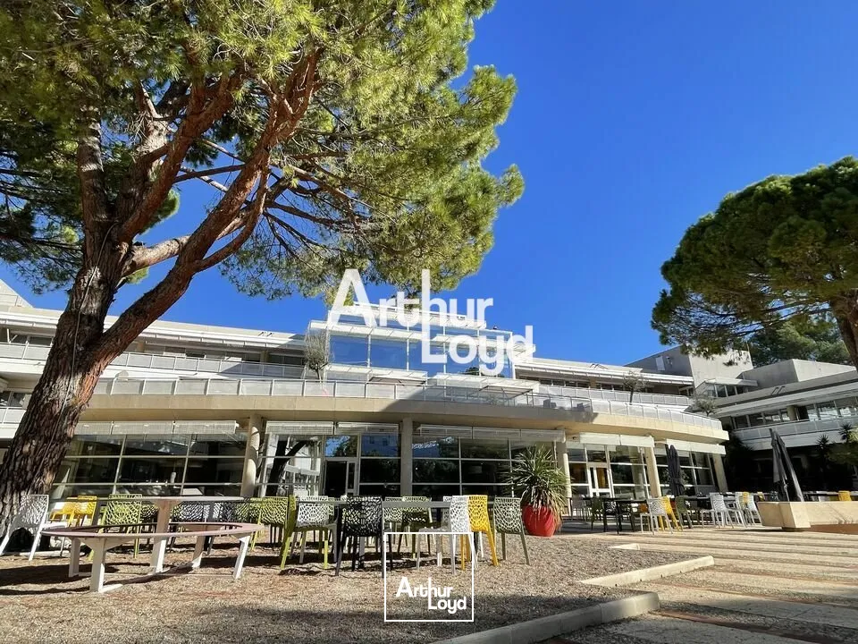 Bureaux à louer divisibles dès 72 m² - Quartier des Templiers - Sophia Antipolis 