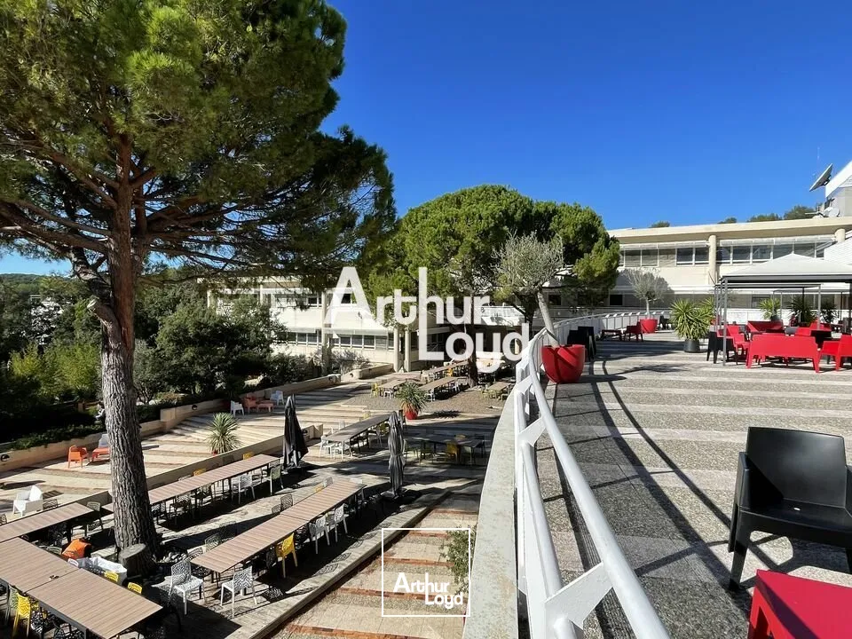Bureaux à louer divisibles dès 72 m² - Quartier des Templiers - Sophia Antipolis 