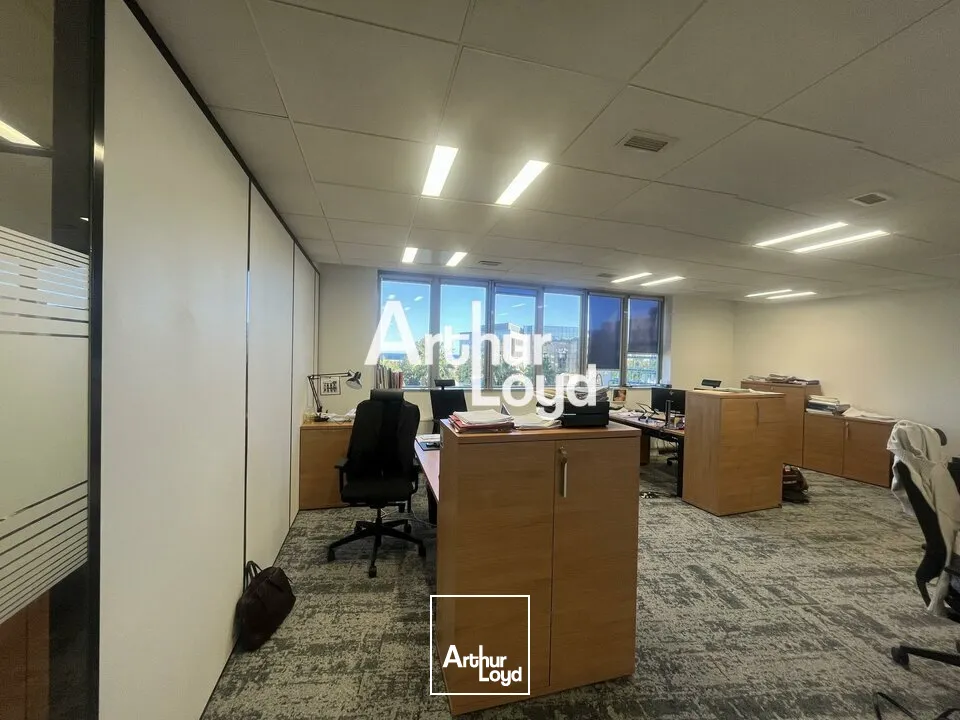 BUREAU OPEN SPACE A LOUER NICE ARENAS