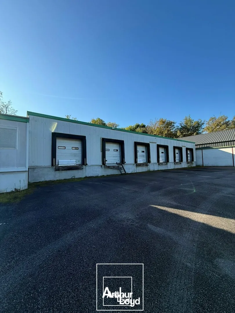 LOCAL D'ACTIVITE - ENTREPOT location à USSAC 19270