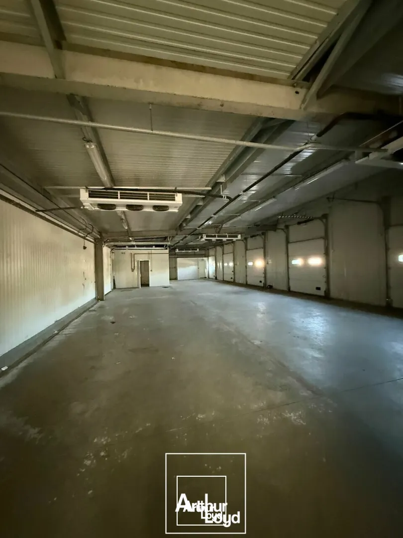 LOCAL D'ACTIVITE - ENTREPOT location à USSAC 19270