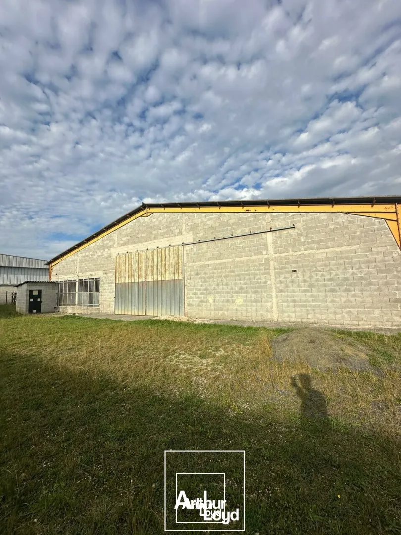 LOCAL D'ACTIVITE - ENTREPOT location à BRIVE LA GAILLARDE 19100