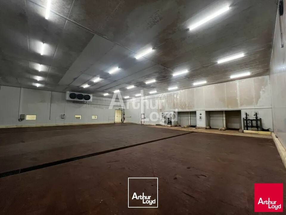 LA CHAUSSÉE SAINT VICTOR - VENTE 3 LOCAUX D'ACTIVITÉ DE 378,26 M² - 504,95 M² ET 1 053,22 M² - ACCES A10 IMMÉDIAT