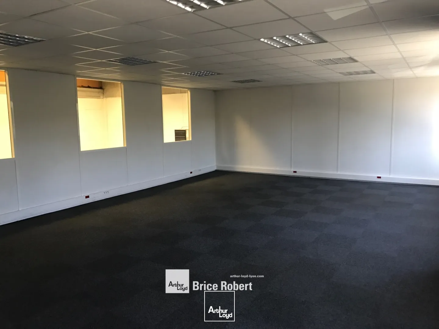 A louer - Bâtiment d'activités au sein d'un parc d' activité rénové avec une hauteur sous plafond de 6.50 m² - Dardilly Techlid