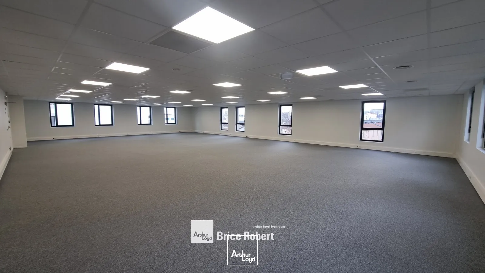 A louer - POLE PIXEL - Bureaux lumineux - Villeurbanne 