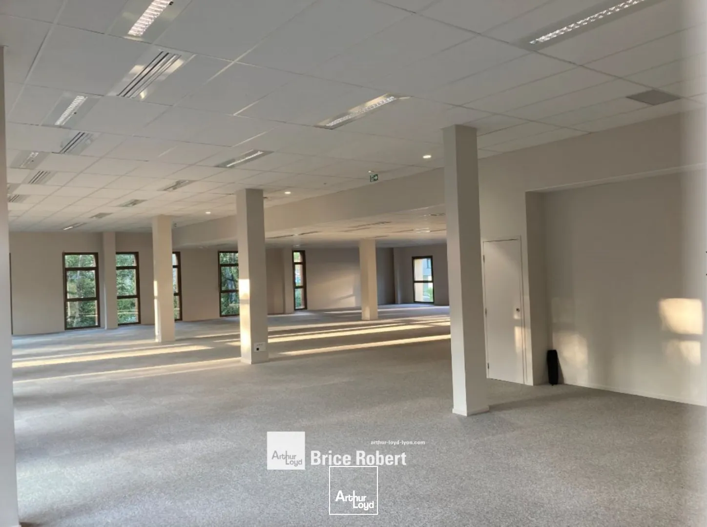 A louer - WESTING - Bureaux dans le secteur de la Techlid - Limonest