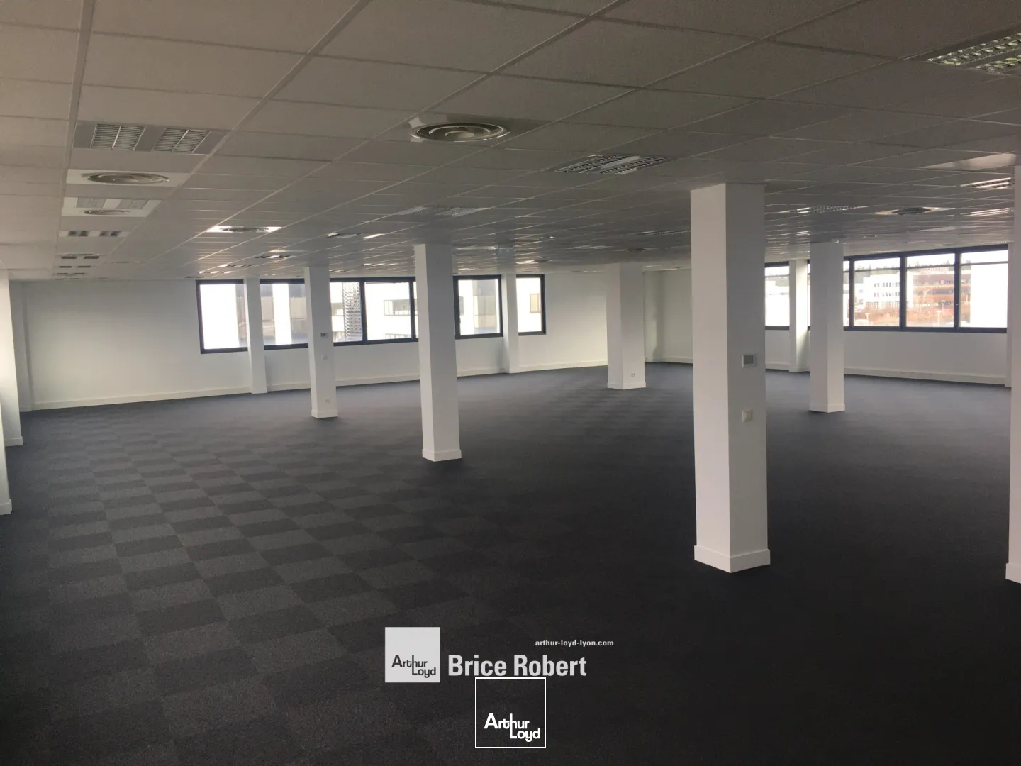 A louer - ALLEES DU PARC - Bureaux dans l'immeuble B - Saint Priest