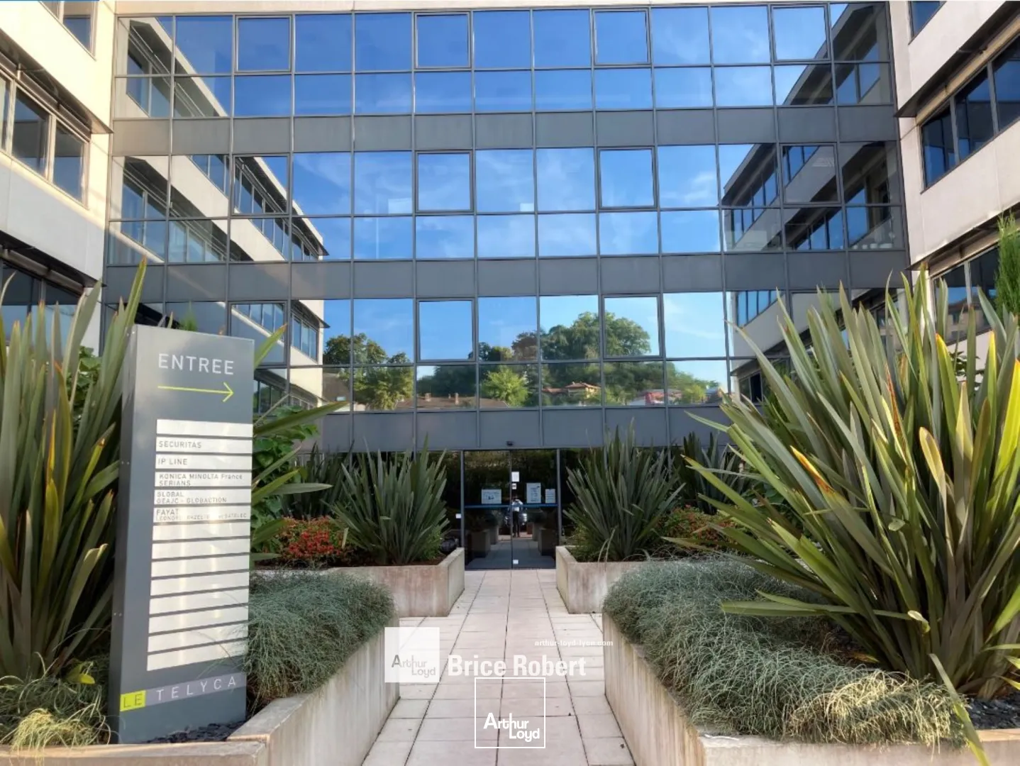 A louer - LE TELYCA - Bureaux lumineux - Caluire et Cuire