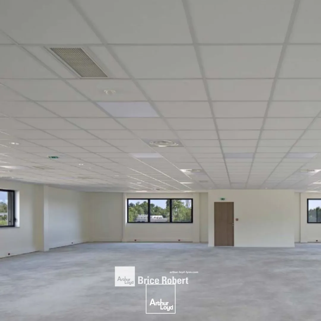 A louer - VEELAGE DE DARDILLY - Bureaux et locaux d'activités - Dardilly