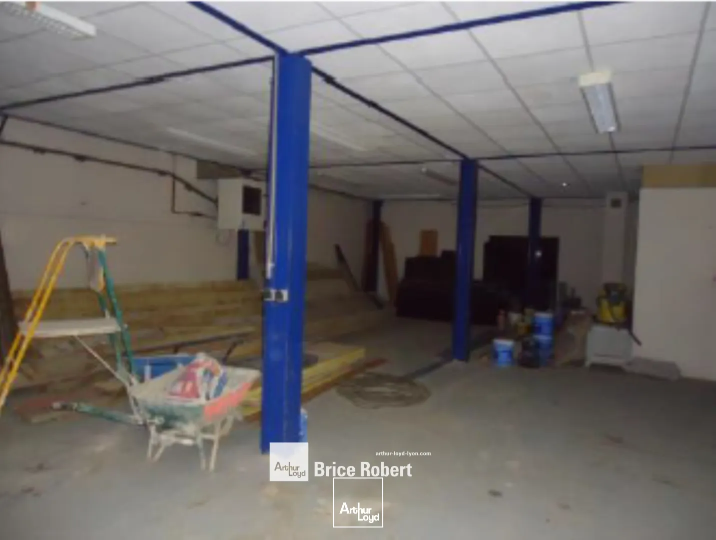 A louer - Lots d'activités idéals pour activités de négoce ou de stockage - Fleurieu sur Saône