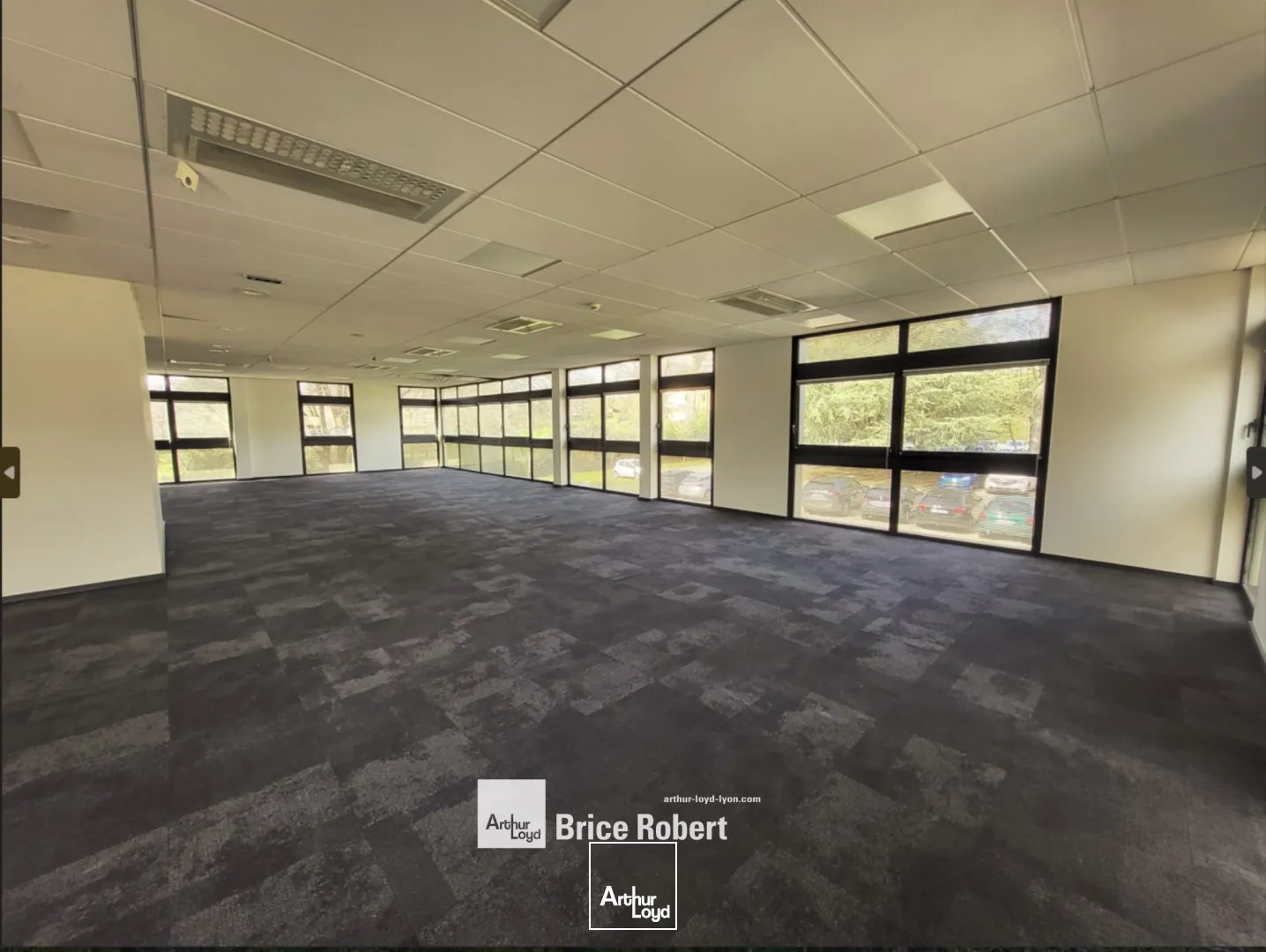 A louer - 21 ECULLY PARK - Bureaux lumineux et spacieux - Ecully